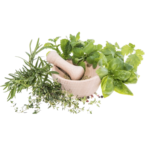 herbal