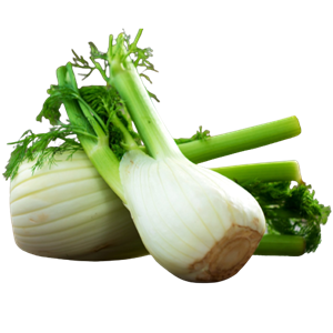 Ingredient-fennel